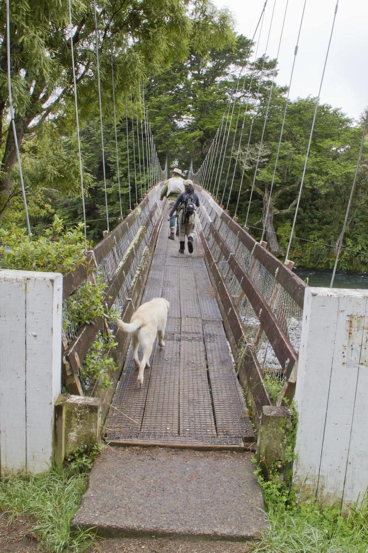 Turangi Trout Lodge المظهر الخارجي الصورة